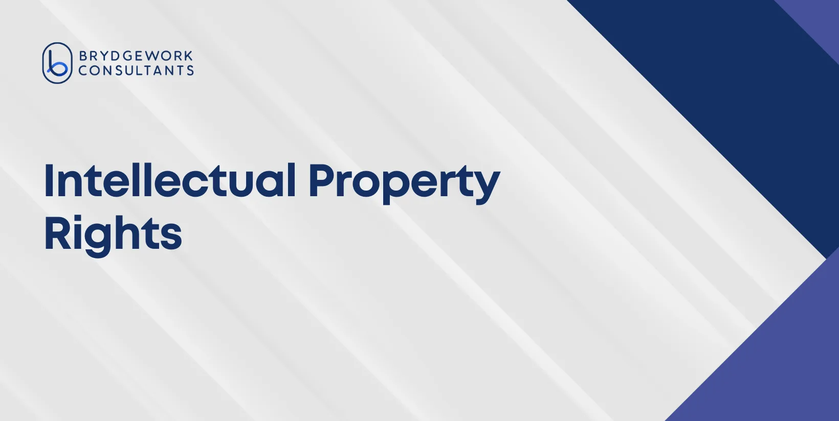 Intellectual Property Rights.